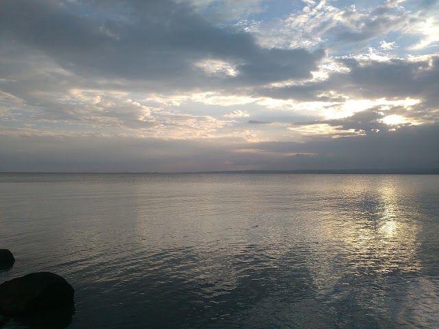 Hippo Point Boat Trips